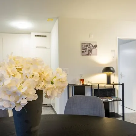 Level Suite - Seebach